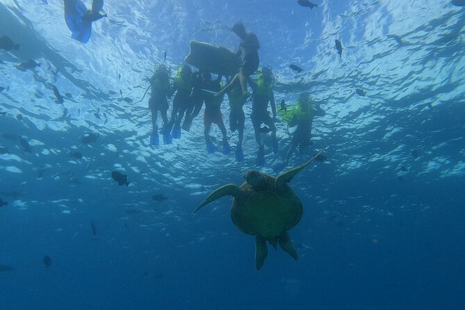 Snorkeling With Turtle/Water Scooter/Paddleboard Adventures Oahu