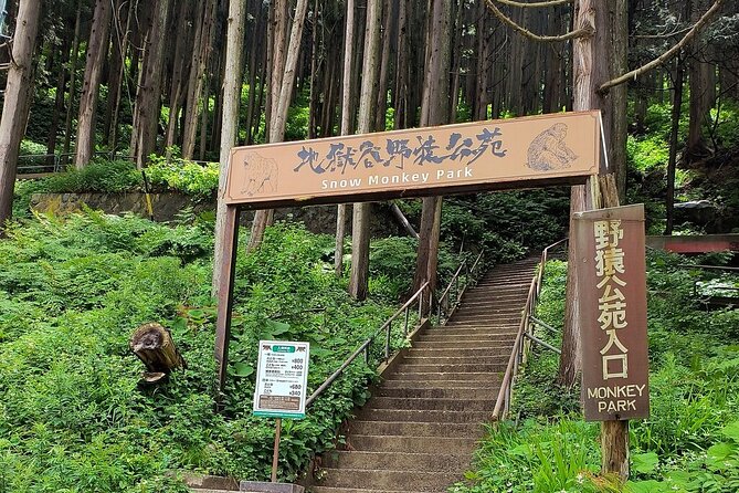 Snow Monkey Nagano One Day Private Tour With English Guide.