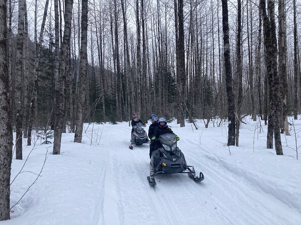 Snowmobile Classic Tour in Kenai Fjords National Park