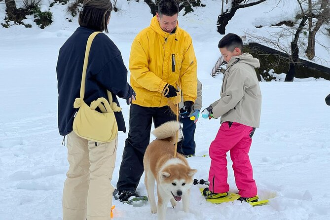 Snowshoe Experience in Akita Yuzawa Winter Park With an Akita Dog - Experience Overview