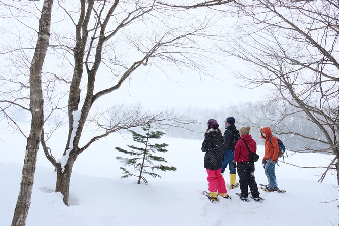 Snowshoe Tours in Niseko Explore Beautiful Snowscapes Adventure - Exploring Nisekos Enchanting Winter Wonderland