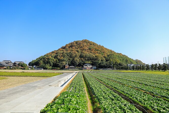 Spend Special Time Enjoying Local Food in Zentsuji, Kagawa