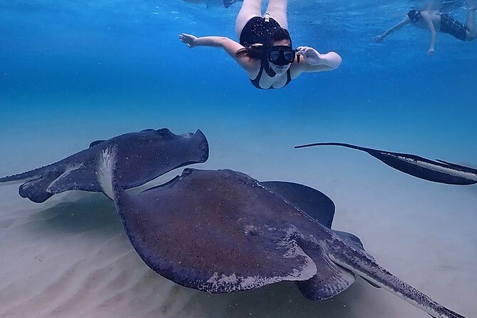 Starfish and Stingray City Fun Tour With Reef Snorkeling- 3 Stops