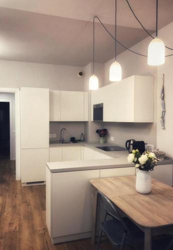 Suite Offenbach FSHH - Property Overview