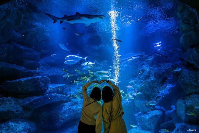 Sumida Aquarium Ticket Tokyo