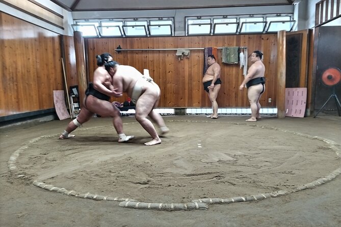 Sumo Practice Viewing Guided Tour and Photo With Sumo Wrestlers