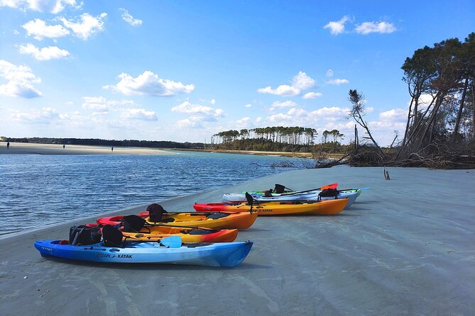 SUP (Stand-Up Paddboard) Salt Marsh Maze Tour - Overview of the SUP Salt Marsh Maze Tour