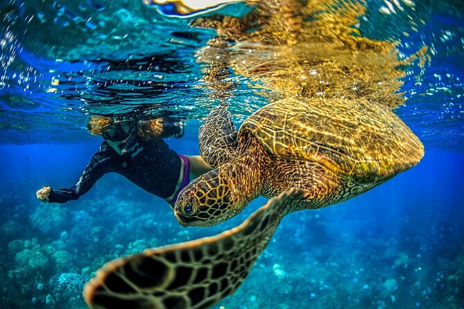 Super Raft – Private Charter Maui 3 Hour Snorkel to Coral Gardens or Molokini