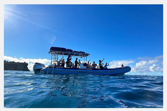 The Best 8 Am 1.5 Hour Whale Watching Tour