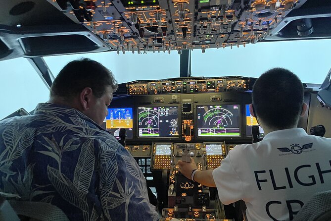 Tokyo 6hr Private Guided Tour & Flight Simulator Experience