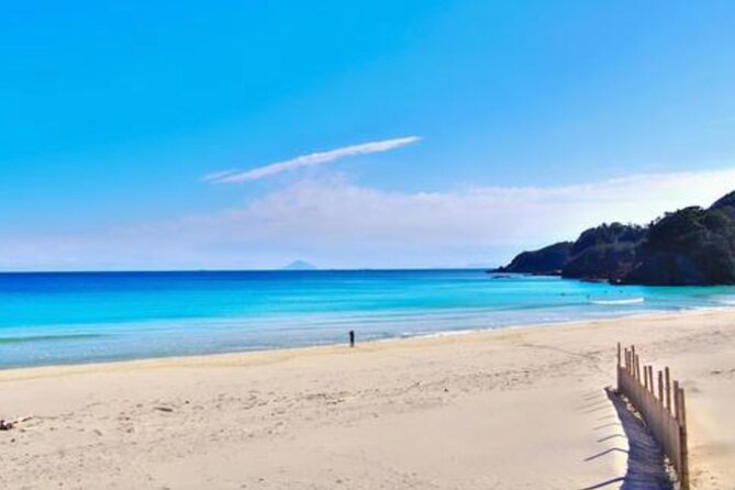 Tokyo Day Trip to Izu and Shimoda