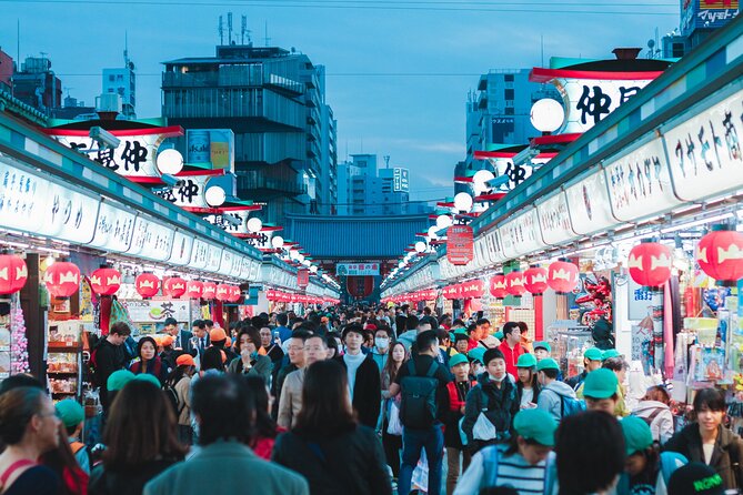 Tokyo Discovery:Exclusive Private Car Tour for an Epic Adventure!