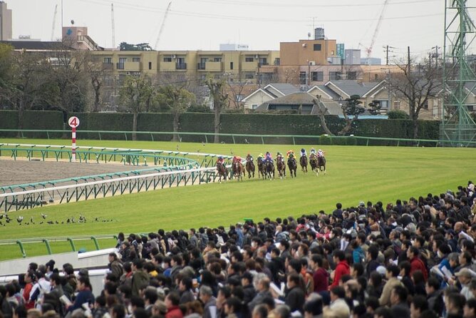 Tokyo Horse Racing and Gambling Tour - Tour Overview