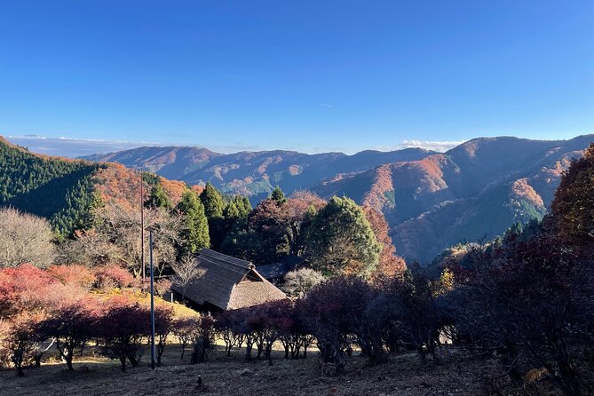 Tokyo Mountain History and Culture Eco Tour - Inclusions