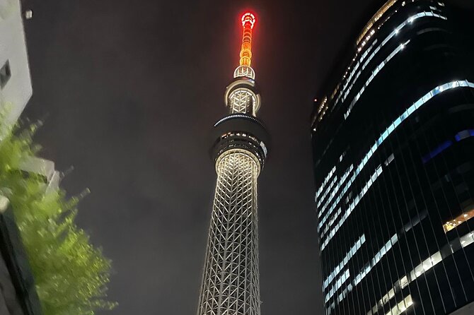Tokyo Night Tour With English Speaking Driver
