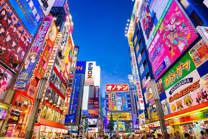 Tokyo Private Tour With English Speaking Driver