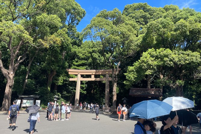 Tokyo Shibuya and Highlights Private Running Tour