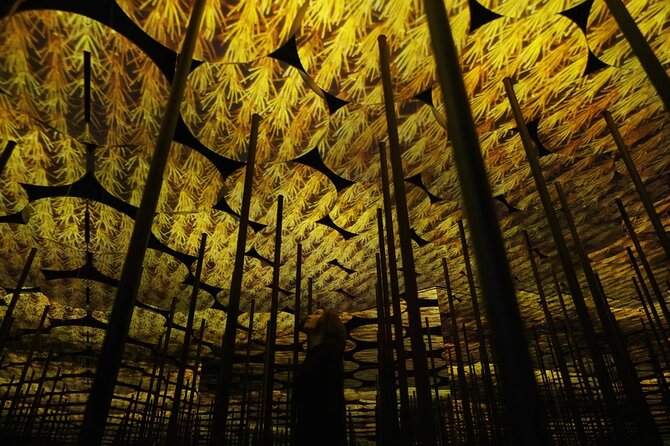 Tokyo: Teamlab Borderless Museum Admission Ticket