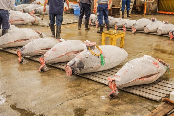 Tuna Auction in Toyosu and Tsukiji Fish Market Tour - Tour Overview