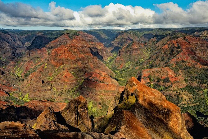 Waimea Canyon Private Tour With Local Guide From Kauai