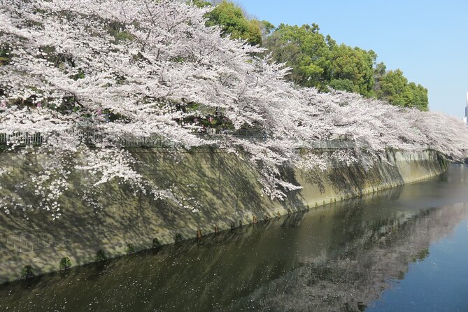 Walking Discovery Tour of Hidden Neighborhoods of Tokyo