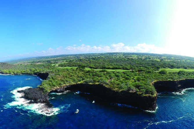 Whale Watching Tour: Whales Guaranteed in Kona Waikoloa