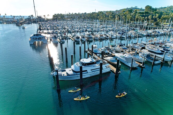 Wildlife Kayak Tour in Santa Barbara Harbor (2 Hours)