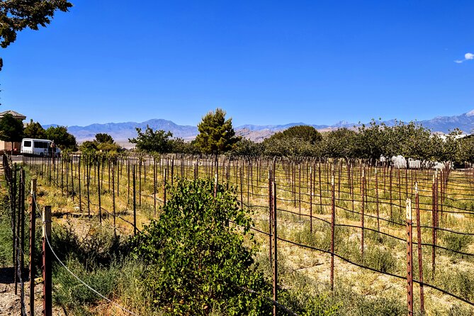 Wine Tasting Tour From Las Vegas With Snacks