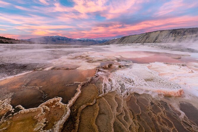 Yellowstone in a Day – Wildlife, Canyons, & Hot Springs