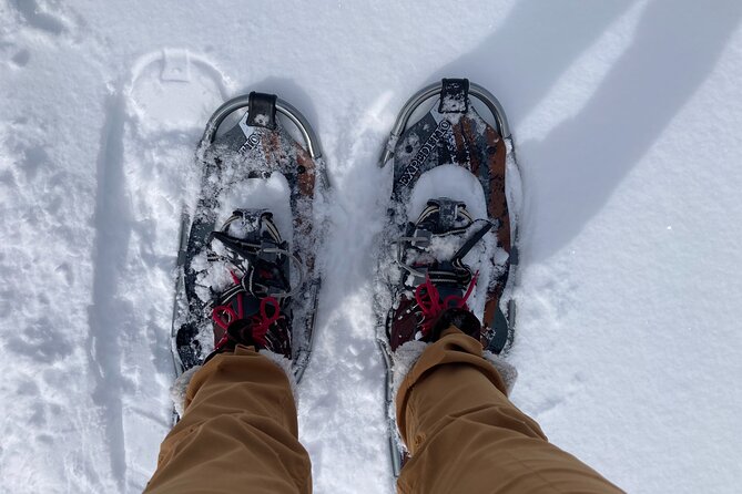 Yellowstone Snowshoe Adventure – Private Tour From Jackson Hole
