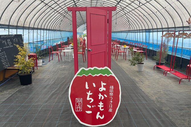 YokaBus 2 Hour Strawberry Feast Healthy Lunch Sakura Dyeing Tour