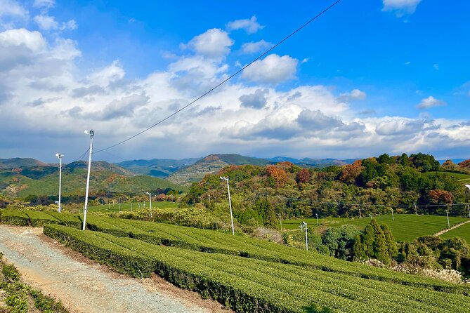 YokaBus Heritage in a Cup of a Yame Tea & Sake Tasting Expedition
