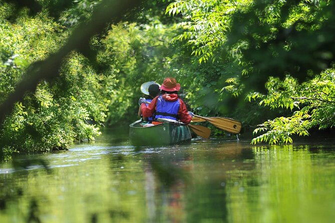 2 Hour Canoe on the Bibi River - Good To Know