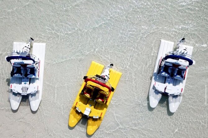 2 Hour Key West Mini Catamaran Eco Tour - Good To Know