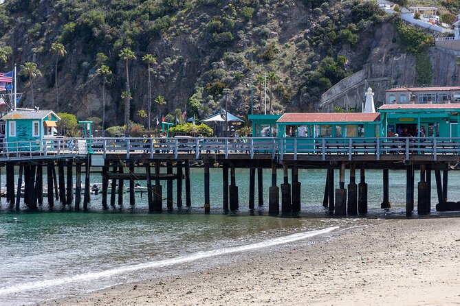 2 Hour Private Tour of Avalon - Good To Know