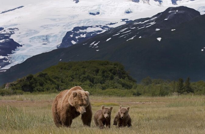 2 Park Bear Viewing Adventure to Katmai and Lake Clark NP - Good To Know