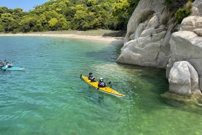 1-Day Kayak Tour of Miyajimas Pristine Nature - Health and Safety Guidelines