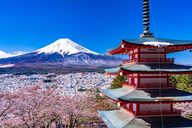 1 Day Private Tour Fuji FujiQ Kawaguchiko Pagoda - Inclusions