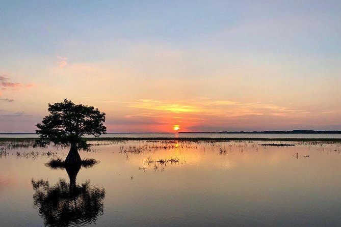 1-Hour Sunset Airboat Ride Near Orlando - Meeting Point and Directions