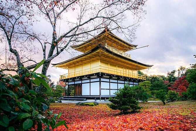 10 Hour Private Customizable Tour to Kyoto From Osaka - Pickup and Meeting Information