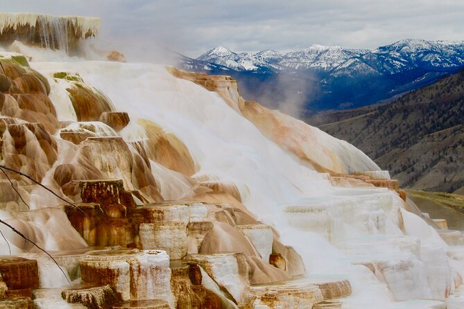 2-Day Yellowstone National Park Upper and Lower Loop Exploration - Whats Included