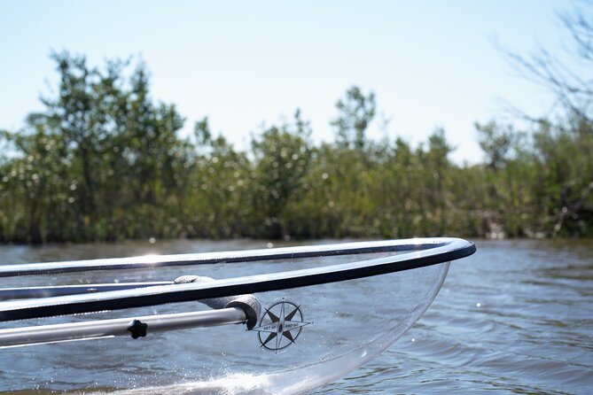 2-Hour Glass Bottom Guided Eco Tour in Flagler County-Small-group - Whats Included in the Tour