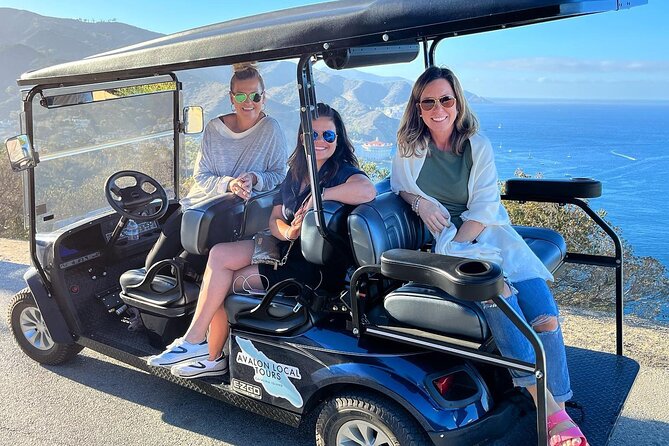 2 Hour Private Tour of Avalon - Highlights of the Tour