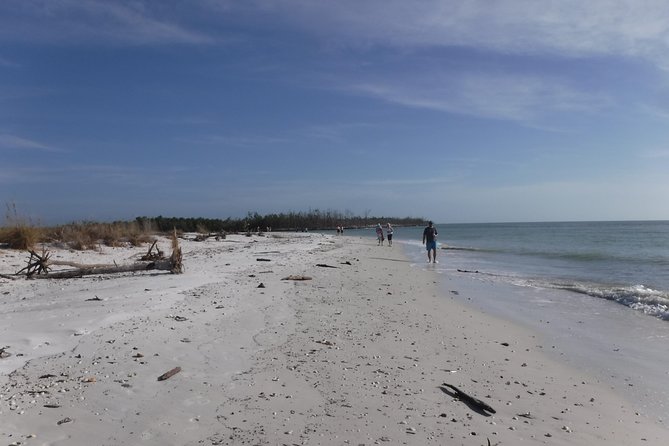 2-hour Shelling Boat Tour in the 10,000 Islands - What to Expect