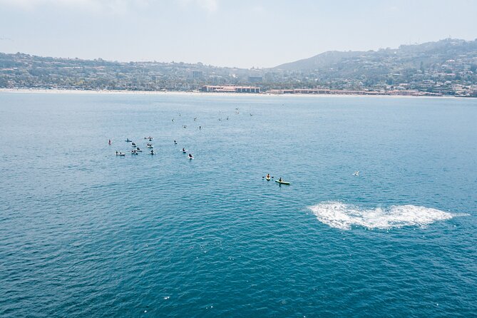 2 Hour Whale Watching Kayak Tour for Two - Safety and Preparation