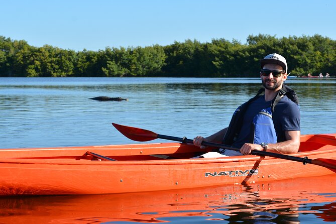 2Hour Everglades Kayak Safari Adventure Through Mangrove Tunnels - Guided Experience