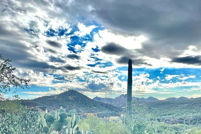 3 Hour Sonoran Desert Private Guided Mountain Bike Tour - Health and Safety Information