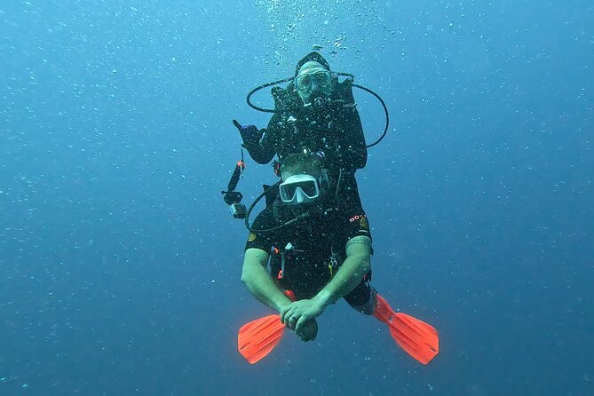 4 Hour Guided Scuba Diving Adventures in Waikiki - Pricing and Guarantees