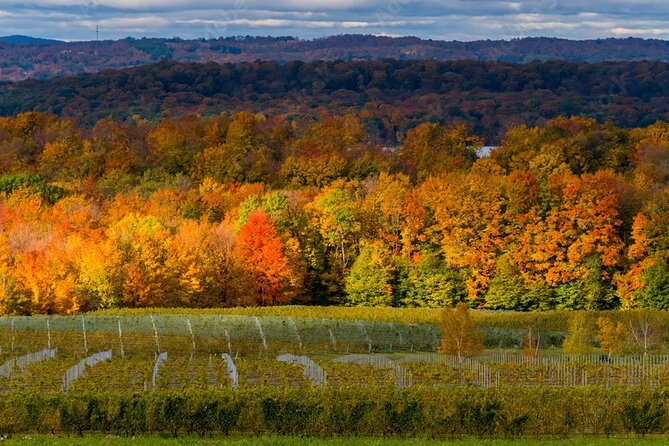 4-Hour Traverse City Sunset Wine Tour: 3 Wineries on Old Mission Peninsula - Pricing and Inclusions