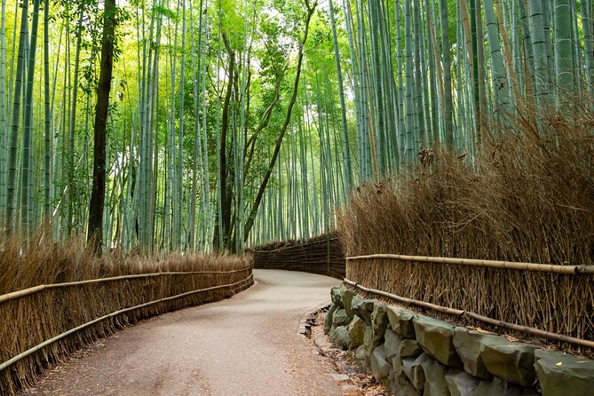 4 Hours Arashiyama and Arashiyama Monkey Park Tour - Inclusions